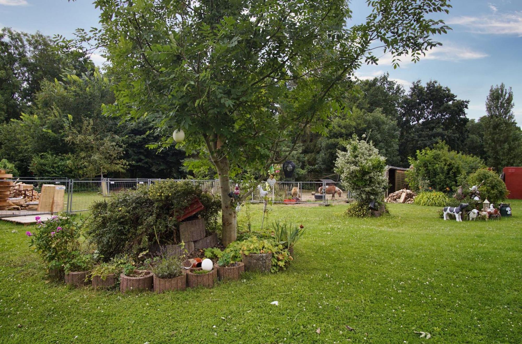 F-1109 Ferienwohnung Am Stadtrand Bergen Auf Rugen Exteriér fotografie