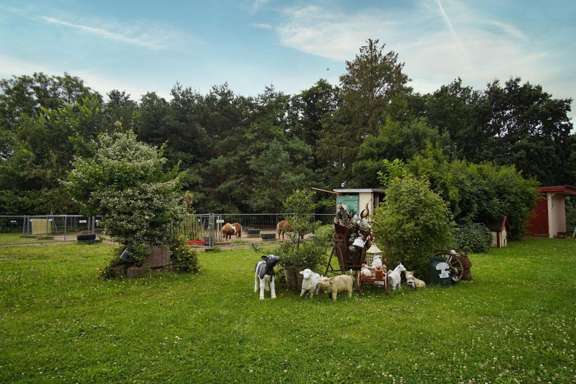 F-1109 Ferienwohnung Am Stadtrand Bergen Auf Rugen Exteriér fotografie